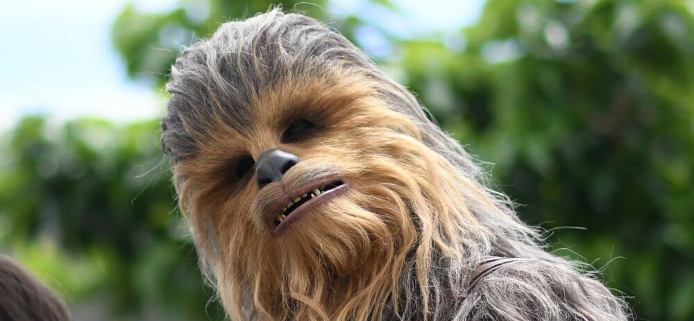 Star Wars Chewbacca