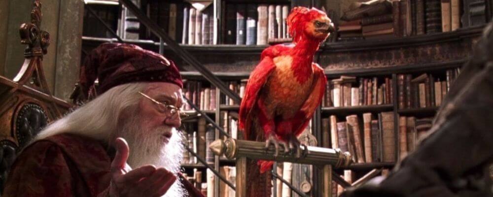 Harry Potter Dumbledore's Phoenix Fawkes