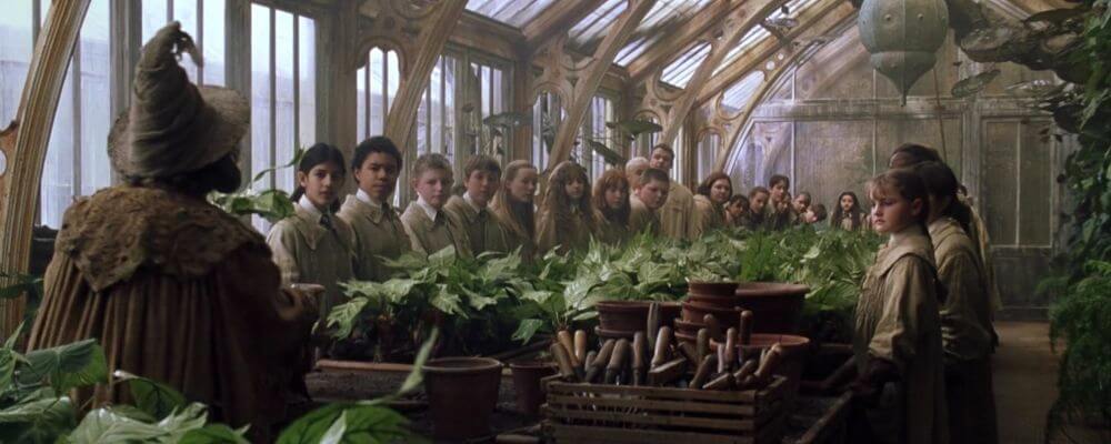 Harry Potter Hogwarts Herbology Class