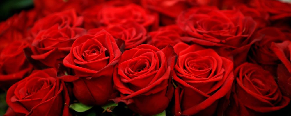 10328 Bouquet of Roses revealed