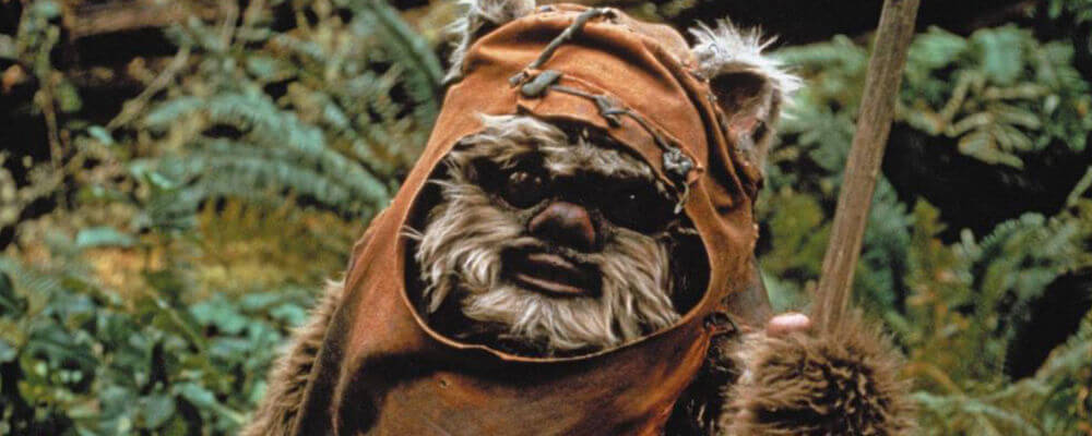 Star Wars Ewok