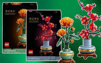 Lego Botanical Collection 2024 Sets: Rose Bouquet & Flower Pots