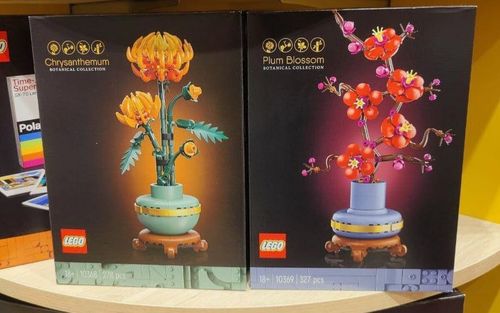 LEGO Botanicals 2024 Chrysanth & Plum Blossom: First look!