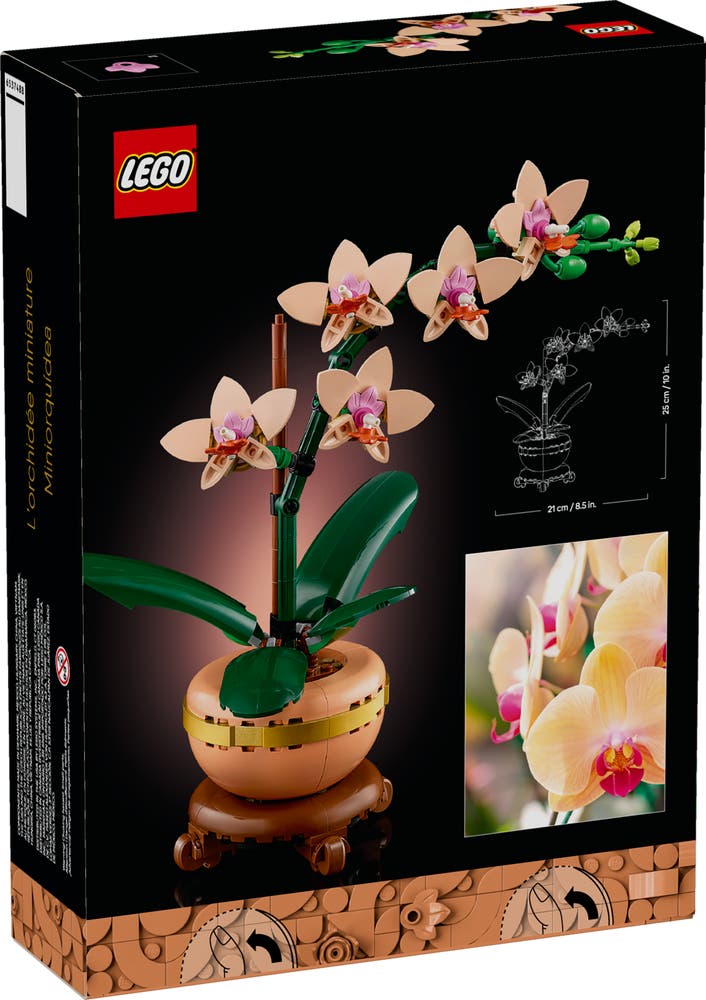 LEGO The Botanical Collection 10343 Mini Orchid box back