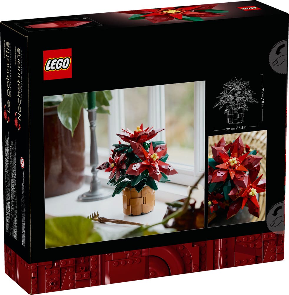 กล่องด้านหลัง LEGO The Botanical Collection 10370 Poinsettia