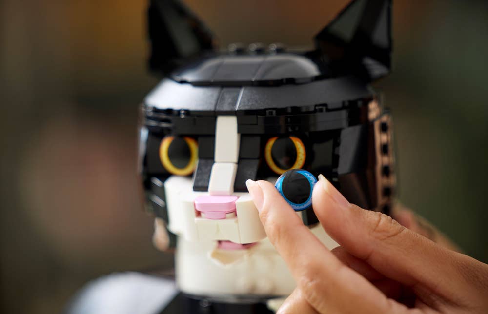 LEGO Ideas 21349 Tuxedo Cat eyes